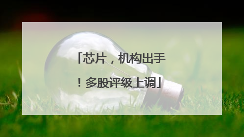 芯片，机构出手！多股评级上调