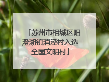 苏州市相城区阳澄湖镇消泾村入选全国文明村