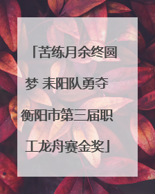 苦练月余终圆梦 耒阳队勇夺衡阳市第三届职工龙舟赛金奖