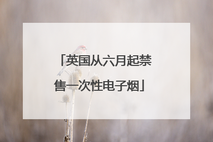 英国从六月起禁售一次性电子烟