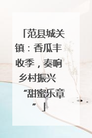 范县城关镇：香瓜丰收季，奏响乡村振兴 “甜蜜乐章”