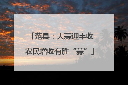 范县：大蒜迎丰收 农民增收有胜“蒜”
