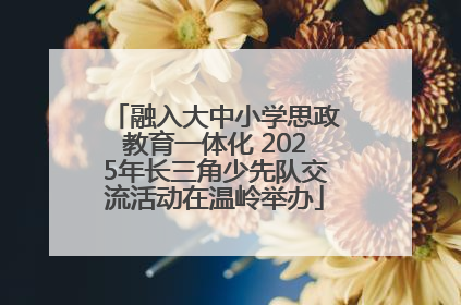 融入大中小学思政教育一体化 2025年长三角少先队交流活动在温岭举办