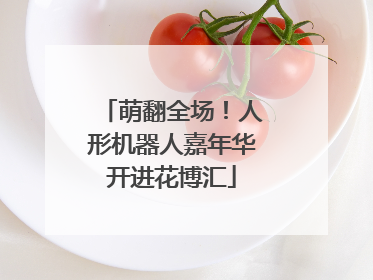 萌翻全场！人形机器人嘉年华开进花博汇
