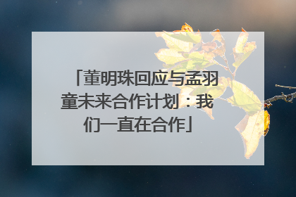 董明珠回应与孟羽童未来合作计划：我们一直在合作