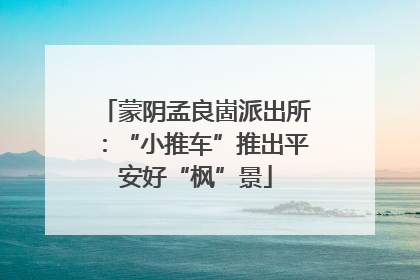 蒙阴孟良崮派出所：“小推车”推出平安好“枫”景
