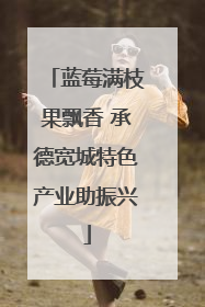 蓝莓满枝果飘香 承德宽城特色产业助振兴