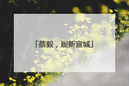 蔡毅，履新宣城