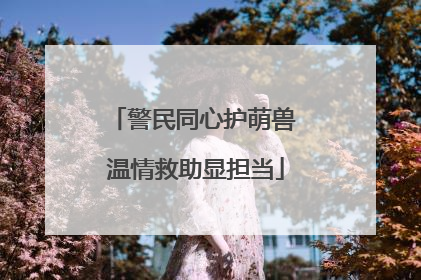 警民同心护萌兽 温情救助显担当