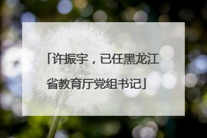 许振宇，已任黑龙江省教育厅党组书记
