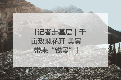 记者走基层｜千亩玫瑰花开 美景带来“钱景”