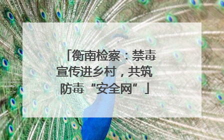 衡南检察：禁毒宣传进乡村，共筑防毒“安全网”