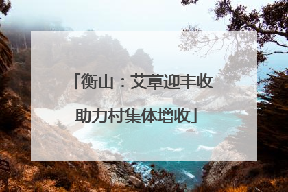 衡山：艾草迎丰收 助力村集体增收
