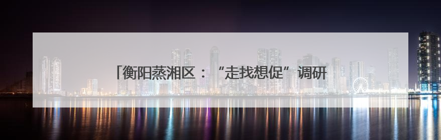 衡阳蒸湘区：“走找想促”调研活动 助力外经贸事业行稳致远