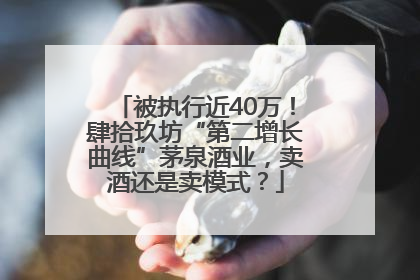 被执行近40万！肆拾玖坊“第二增长曲线”茅泉酒业，卖酒还是卖模式？