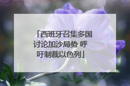 西班牙召集多国讨论加沙局势 呼吁制裁以色列