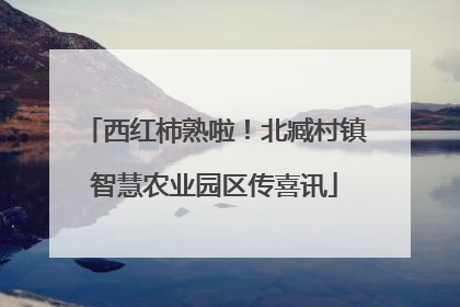 西红柿熟啦！北臧村镇智慧农业园区传喜讯