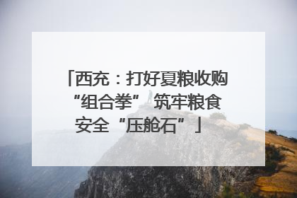 西充：打好夏粮收购“组合拳” 筑牢粮食安全“压舱石”