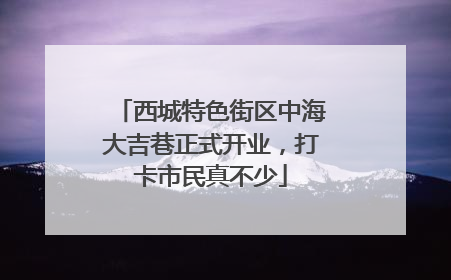 西城特色街区中海大吉巷正式开业，打卡市民真不少