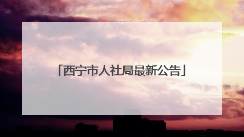 西宁市人社局最新公告