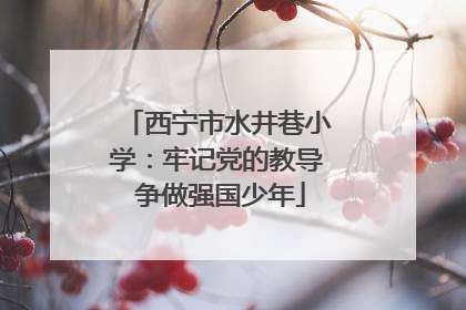 西宁市水井巷小学：牢记党的教导 争做强国少年