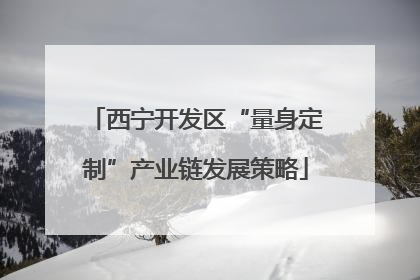 西宁开发区“量身定制”产业链发展策略