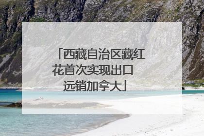 西藏自治区藏红花首次实现出口 远销加拿大