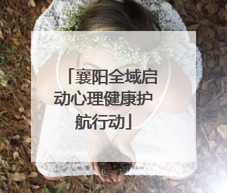 襄阳全域启动心理健康护航行动