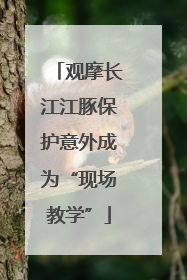 观摩长江江豚保护意外成为“现场教学”