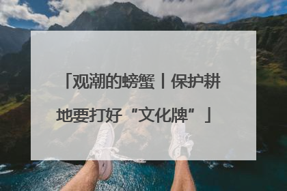 观潮的螃蟹丨保护耕地要打好“文化牌”