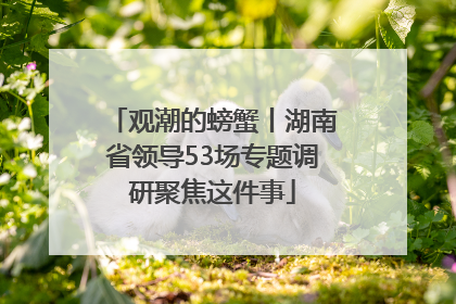 观潮的螃蟹丨湖南省领导53场专题调研聚焦这件事
