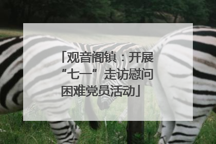 观音阁镇：开展“七一”走访慰问困难党员活动