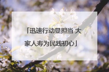 迅速行动显担当 大家人寿为民践初心
