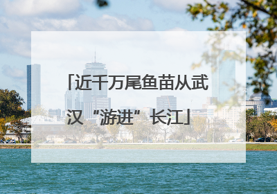 近千万尾鱼苗从武汉“游进”长江