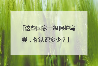 这些国家一级保护鸟类，你认识多少？