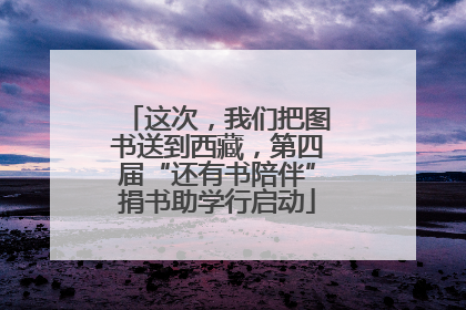 这次，我们把图书送到西藏，第四届“还有书陪伴”捐书助学行启动
