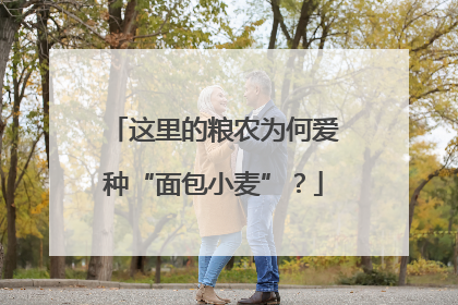 这里的粮农为何爱种“面包小麦”？