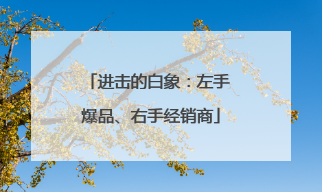 进击的白象：左手爆品、右手经销商