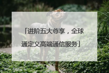 进阶五大尊享，全球通定义高端通信服务