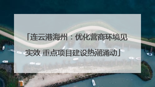 连云港海州：优化营商环境见实效 重点项目建设热潮涌动