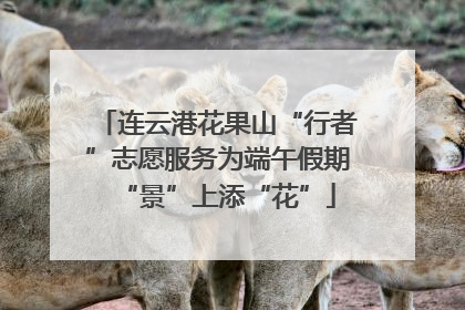 连云港花果山“行者”志愿服务为端午假期“景”上添“花”