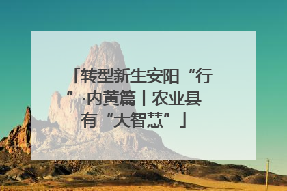 转型新生安阳“行”·内黄篇丨农业县有“大智慧”