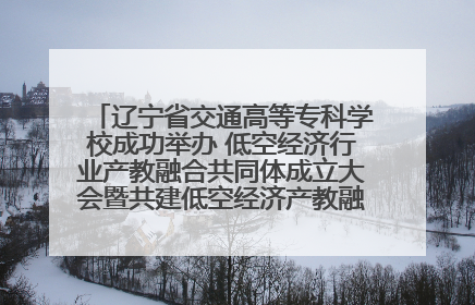 辽宁省交通高等专科学校成功举办 低空经济行业产教融合共同体成立大会暨共建低空经济产教融合新生态论坛