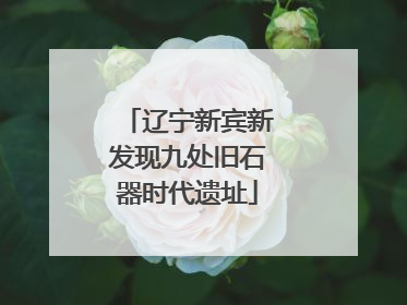 辽宁新宾新发现九处旧石器时代遗址