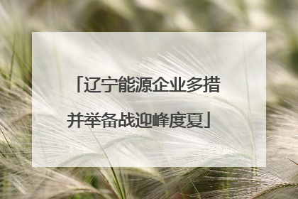辽宁能源企业多措并举备战迎峰度夏