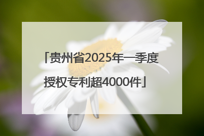 贵州省2025年一季度授权专利超4000件