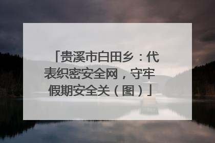 贵溪市白田乡：代表织密安全网，守牢假期安全关（图）