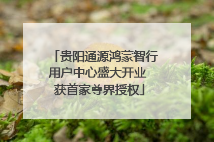 贵阳通源鸿蒙智行用户中心盛大开业 获首家尊界授权