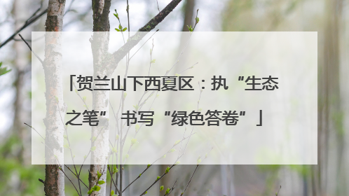贺兰山下西夏区：执“生态之笔” 书写“绿色答卷”