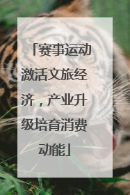 赛事运动激活文旅经济，产业升级培育消费动能